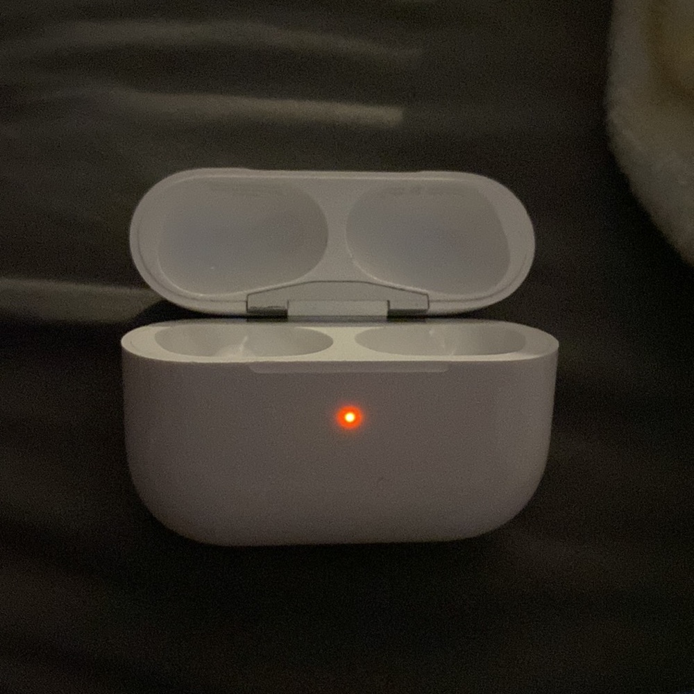 AirPod Pro Charging Case